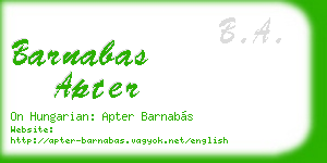 barnabas apter business card